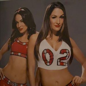 It’s a poster of the bella twins they are in WWE